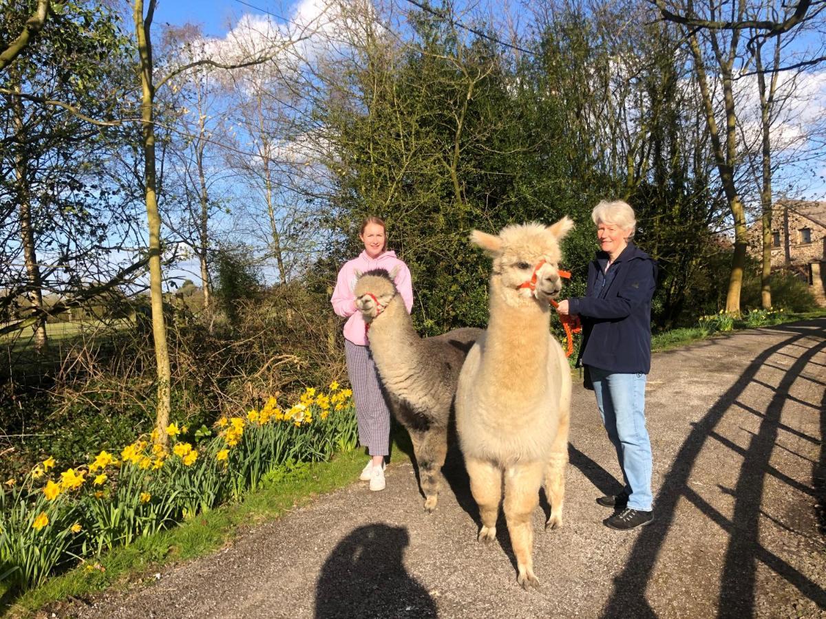 Вилла Alpaca Fold Престон Экстерьер фото
